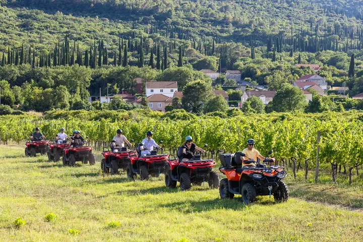 Quadovi prolaze kroz vinograd ispod sela